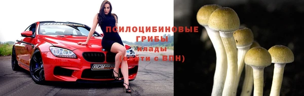 дурь Белокуриха