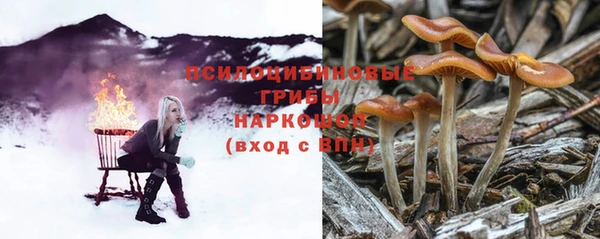 дурь Белокуриха