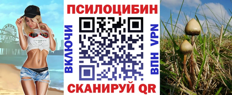 Галлюциногенные грибы прущие грибы  купить наркотики сайты  Воркута 