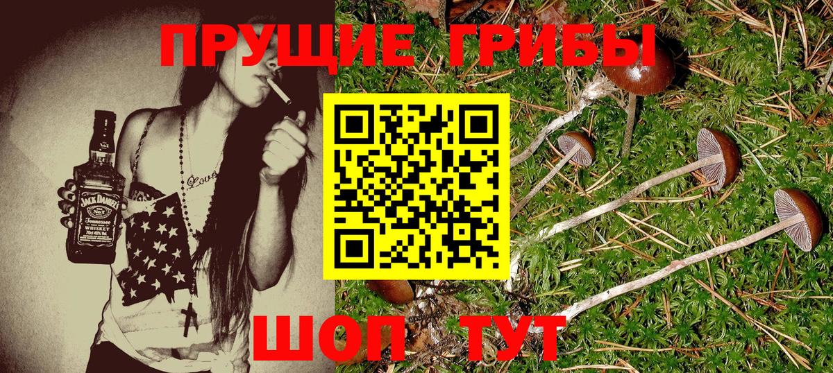 Псилоцибиновые грибы MAGIC MUSHROOMS  наркота  Воркута 