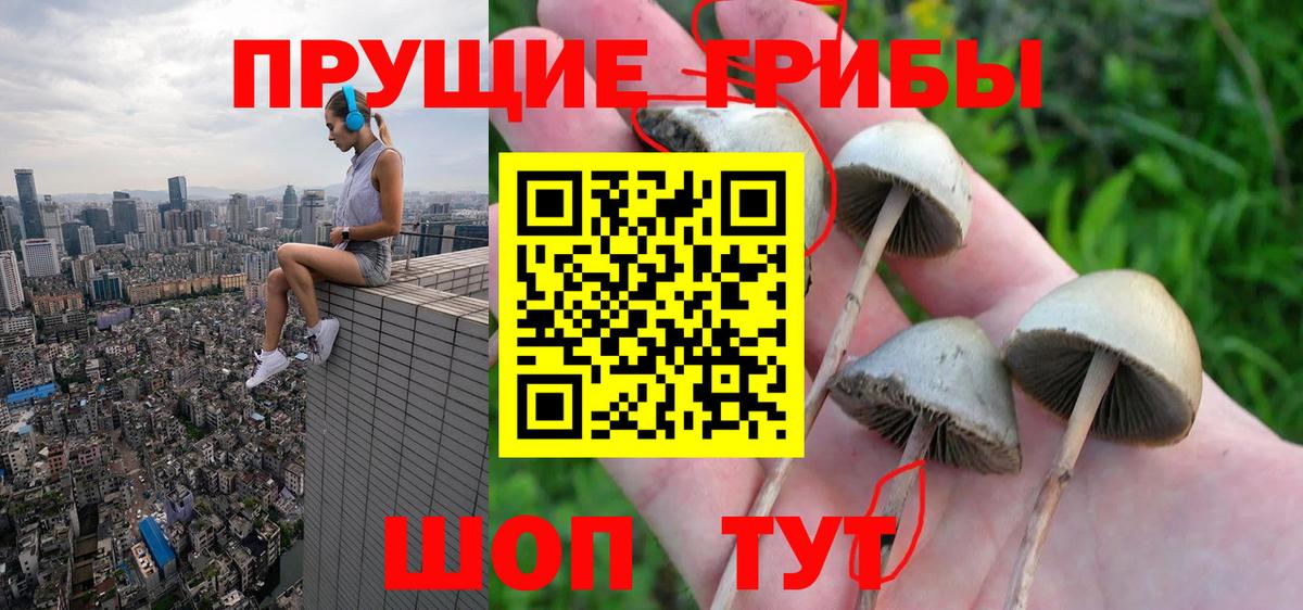 Псилоцибиновые грибы MAGIC MUSHROOMS Воркута